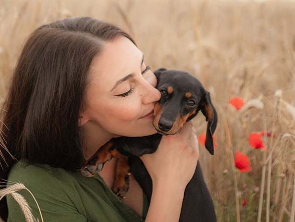 Owning a Sausage Dog as Beginner