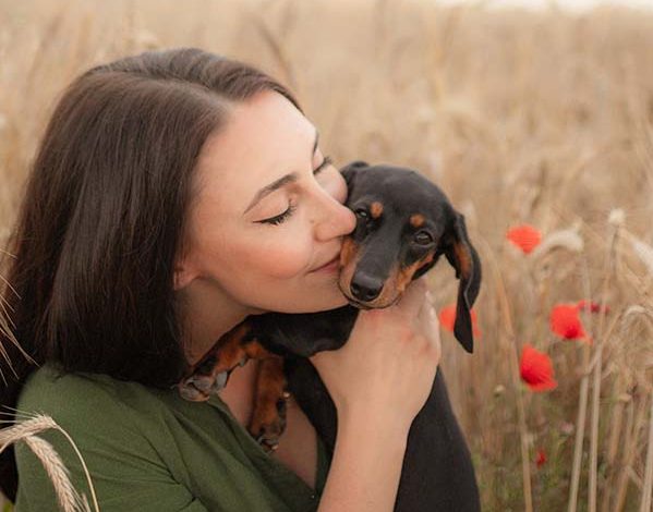Read more about the article Guide to Owning a Sausage Dog as Beginner